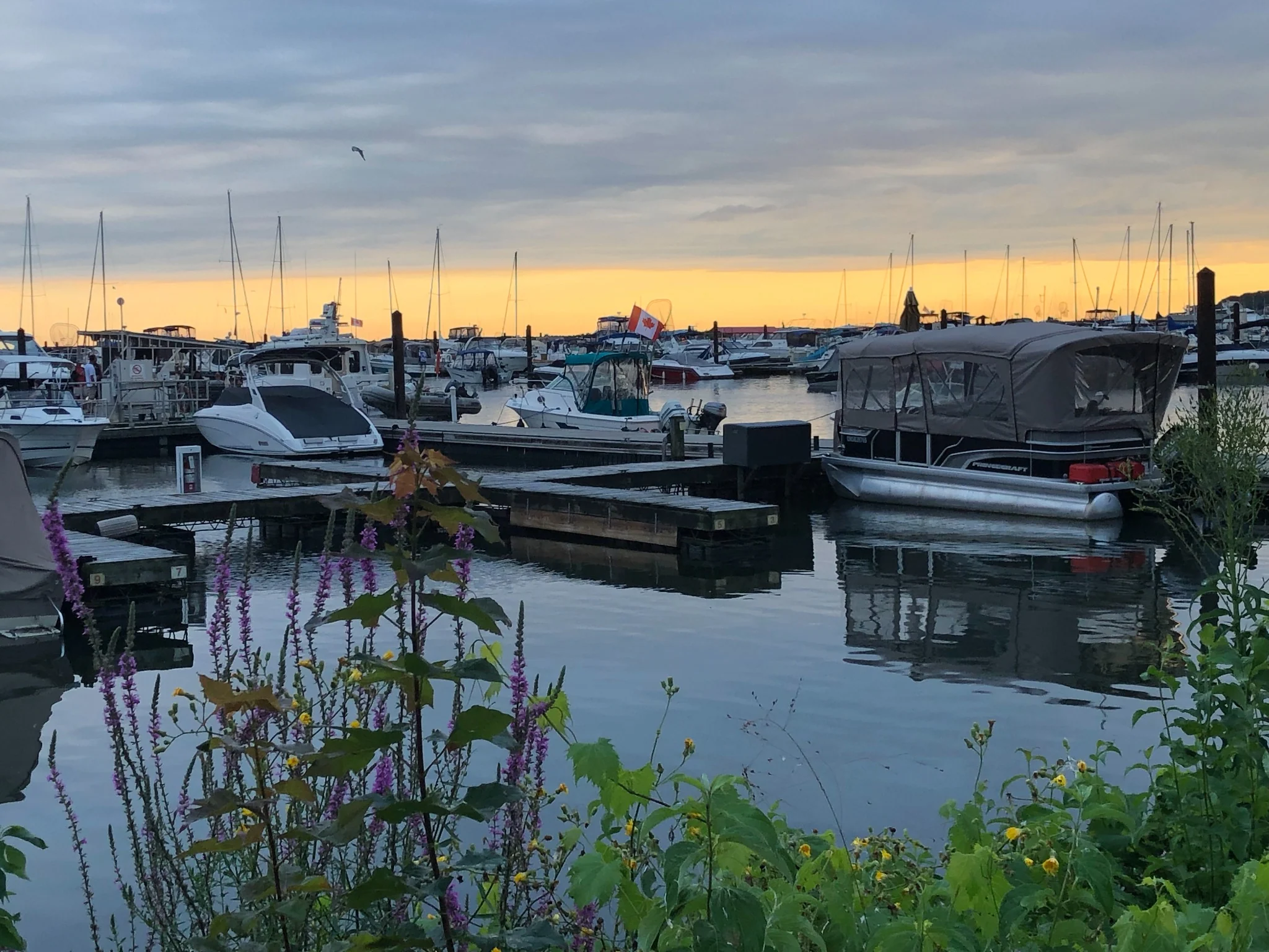 Boats resting in the Port Colborne marina at dusk